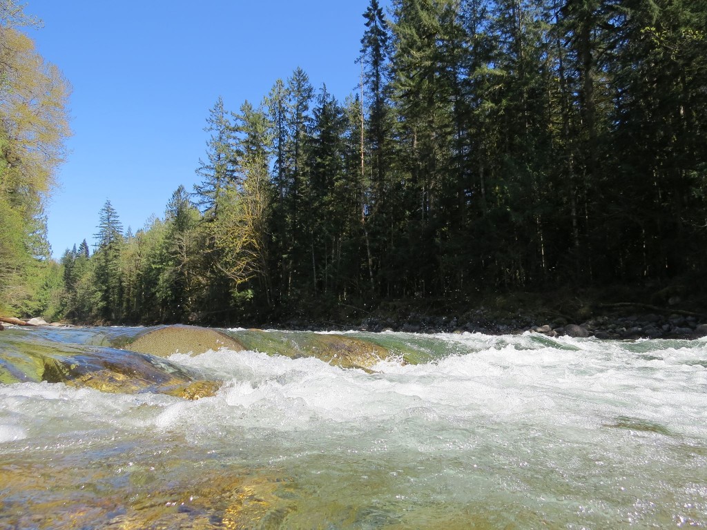 STK_Chilliwack River 1