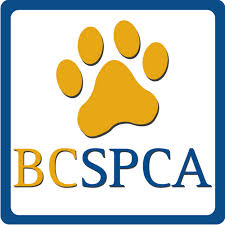 SPCA BC Logo 2