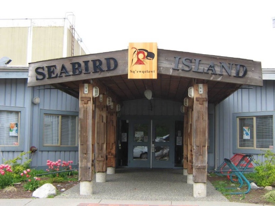 STK_Seabird Island 4