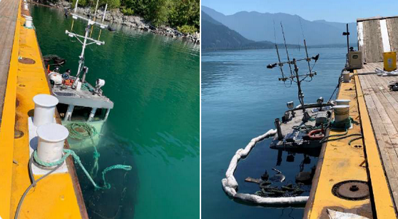 Mission RCMP Need Your Help With Info in Possible Intentional Damage ...