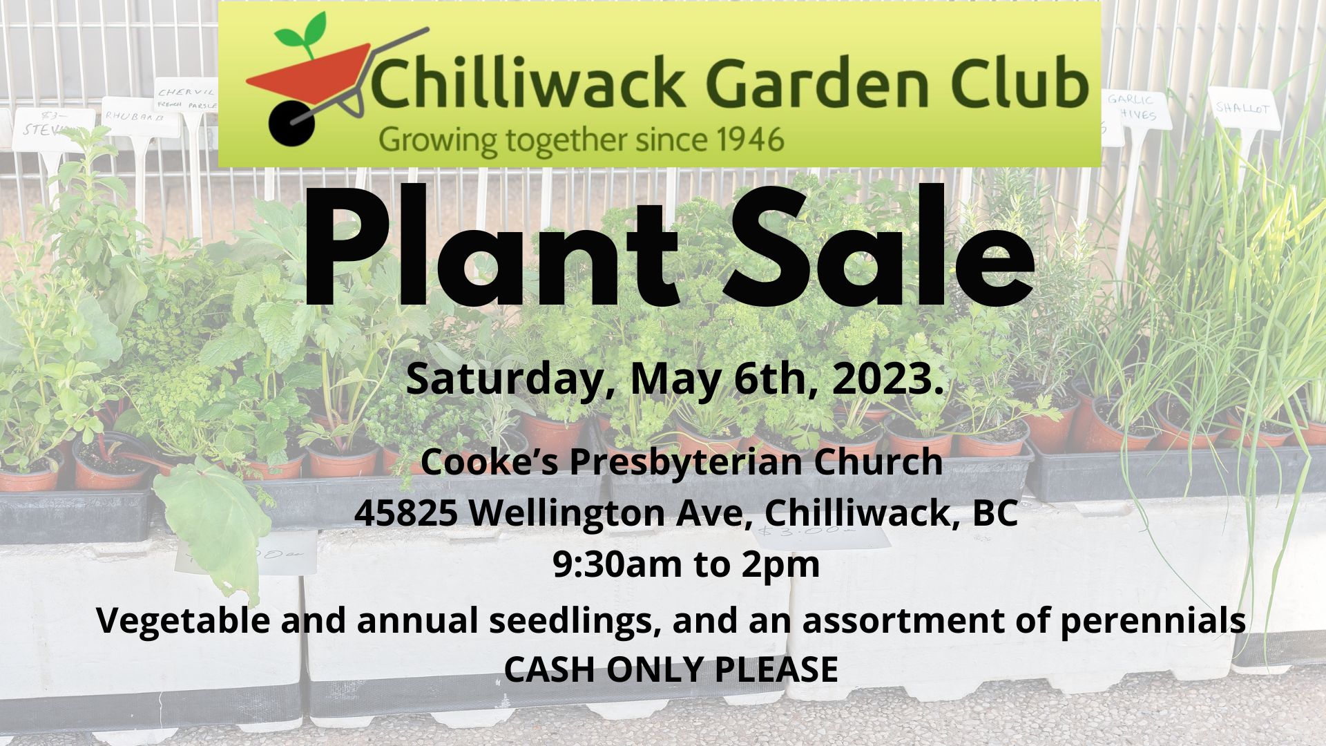 Chilliwack Garden Club Plant Sale Saturday May 6 FVN