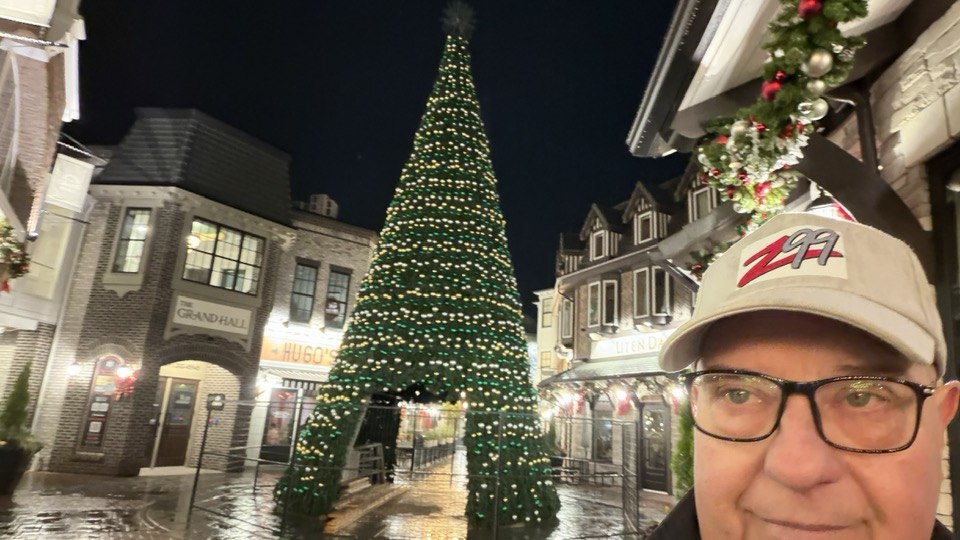 District 1881 Nov 2025 Xmas Tree