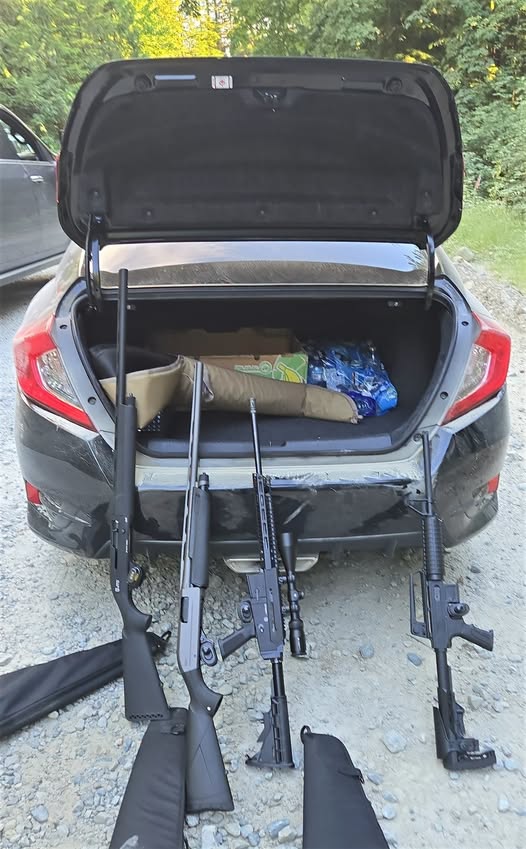 Mission RCMP Cracking Down on Illegal Shooting Galleries Along Forest Service Road